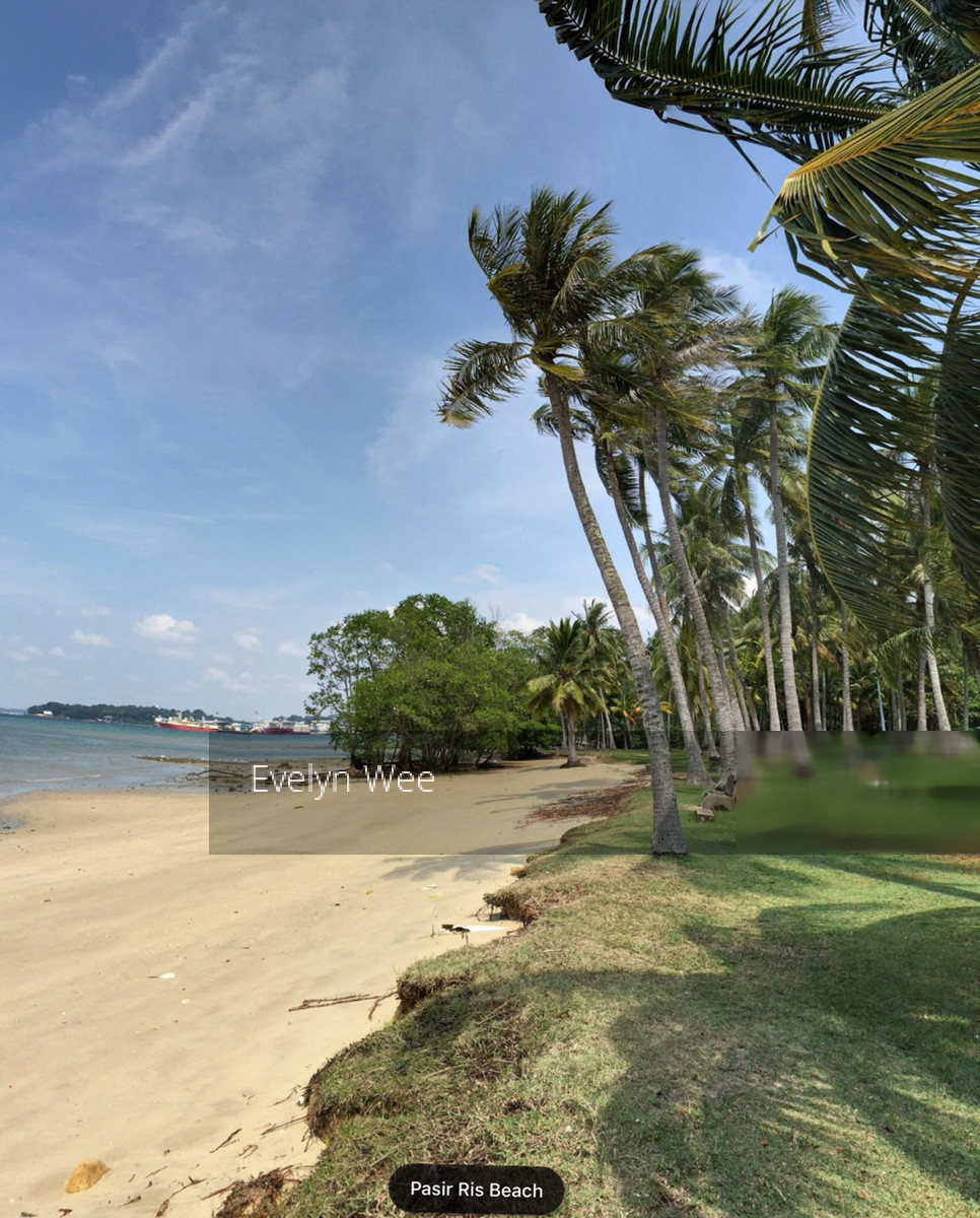 Pasir Ris Beach Park (D18), Semi-Detached #183044162